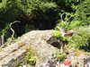 20220615105337-DSCN2258.JPG