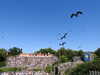 20220615105627-DSCN2283.JPG