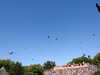 20220615105634-DSCN2287.JPG