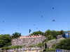 20220615105642-DSCN2290.JPG