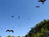 20220615105650-DSCN2292.JPG