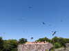 20220615105658-DSCN2294.JPG