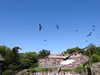 20220615105705-DSCN2296.JPG