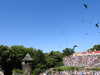 20220615105751-DSCN2306.JPG