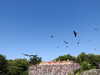 20220615105918-DSCN2320.JPG