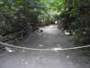 20220615110334-DSCN2324.JPG