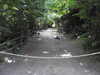 20220615110335-DSCN2325.JPG