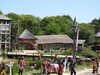 20220615113519-DSCN2352.JPG