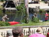 20220615113914-DSCN2372.JPG