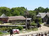 20220615114133-DSCN2386.JPG