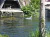 20220615114347-DSCN2399.JPG
