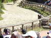 20220615114356-DSCN2401.JPG