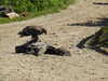 20220615114416-DSCN2404.JPG