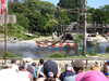 20220615114426-DSCN2406.JPG