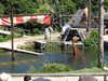 20220615114546-DSCN2412.JPG