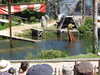 20220615114611-DSCN2414.JPG