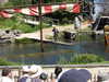 20220615114619-DSCN2415.JPG