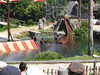 20220615115200-DSCN2448.JPG