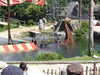 20220615115203-DSCN2449.JPG