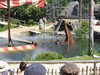 20220615115206-DSCN2450.JPG
