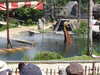 20220615115208-DSCN2451.JPG