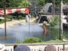 20220615115217-DSCN2454.JPG