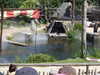 20220615115241-DSCN2456.JPG
