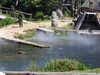 20220615115303-DSCN2457.JPG