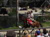 20220615115346-DSCN2461.JPG