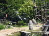 20220615115355-DSCN2463.JPG