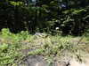 20220615142153-DSCN2497.JPG