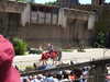 20220615144828-DSCN2512.JPG
