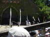 20220615145125-DSCN2522.JPG