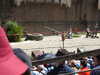 20220615145344-DSCN2534.JPG