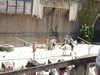 20220615145411-DSCN2536.JPG