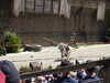 20220615145513-DSCN2543.JPG