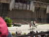 20220615145523-DSCN2544.JPG