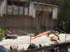 20220615145545-DSCN2545.JPG