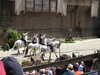 20220615145551-DSCN2546.JPG