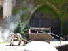 20220615150007-DSCN2559.JPG