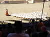20220615155030-DSCN2654.JPG