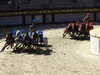 20220615160351-DSCN2740.JPG