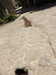 20220615164533-DSCN2854.JPG