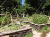 20220615164545-DSCN2855.JPG