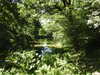 20220615165654-DSCN2858.JPG