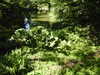 20220615165659-DSCN2859.JPG
