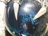 20220615173733-DSCN2893.JPG