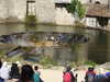 20220615174254-DSCN2917.JPG