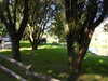20220615184516-DSCN2941.JPG