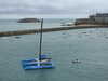 20220619102915-DSCN2986.JPG